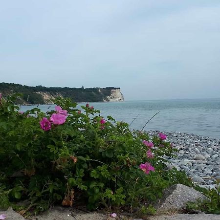 Hering Fewo I Apartment Terrace Wiek auf Rügen Eksteriør bilde