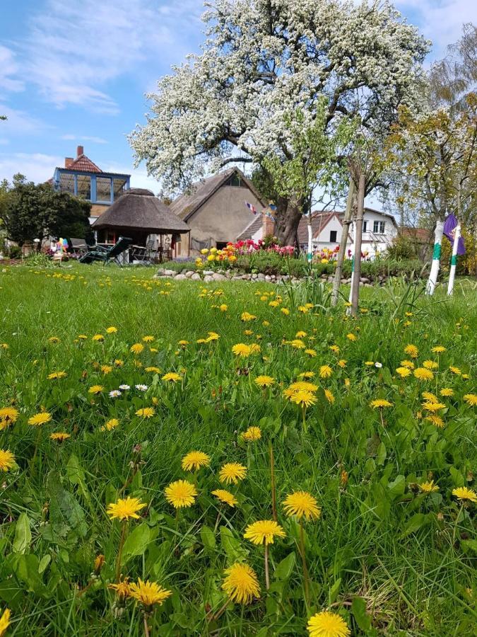Hering Fewo I Apartment Terrace Wiek auf Rügen Eksteriør bilde