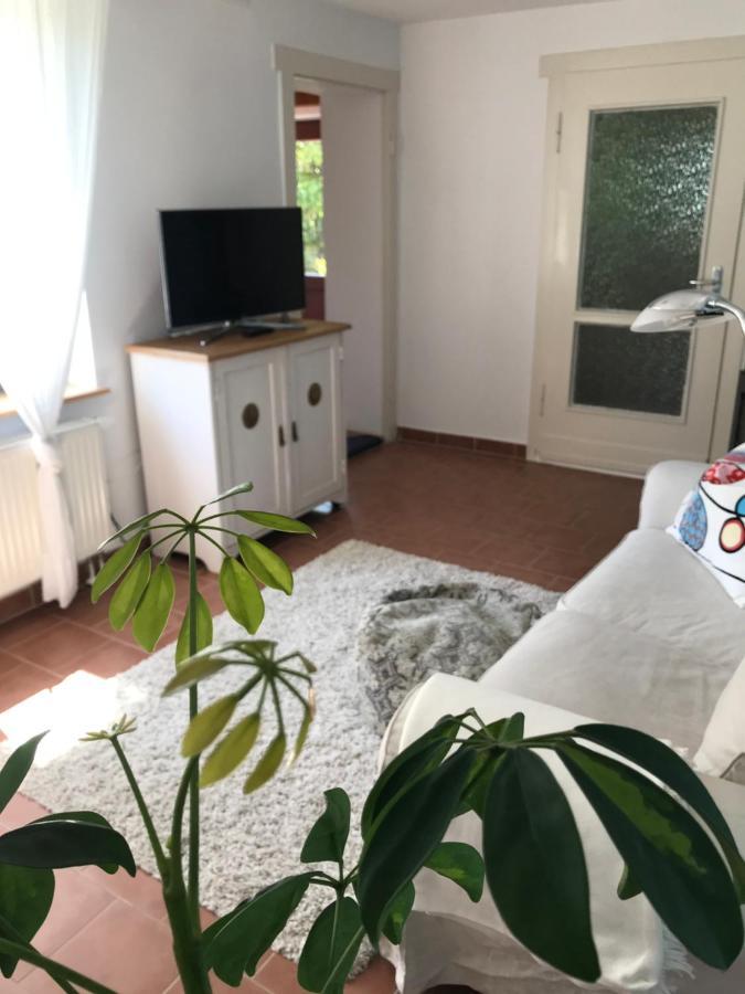 Hering Fewo I Apartment Terrace Wiek auf Rügen Eksteriør bilde
