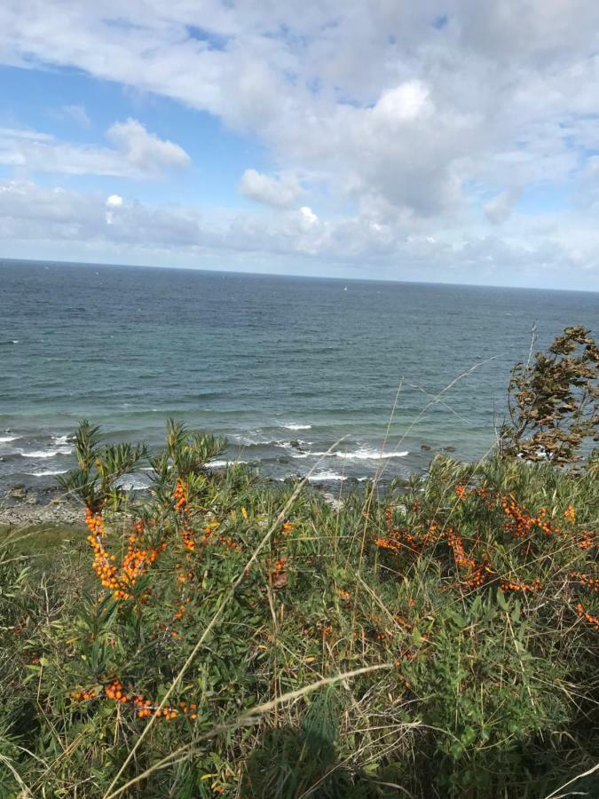 Hering Fewo I Apartment Terrace Wiek auf Rügen Eksteriør bilde